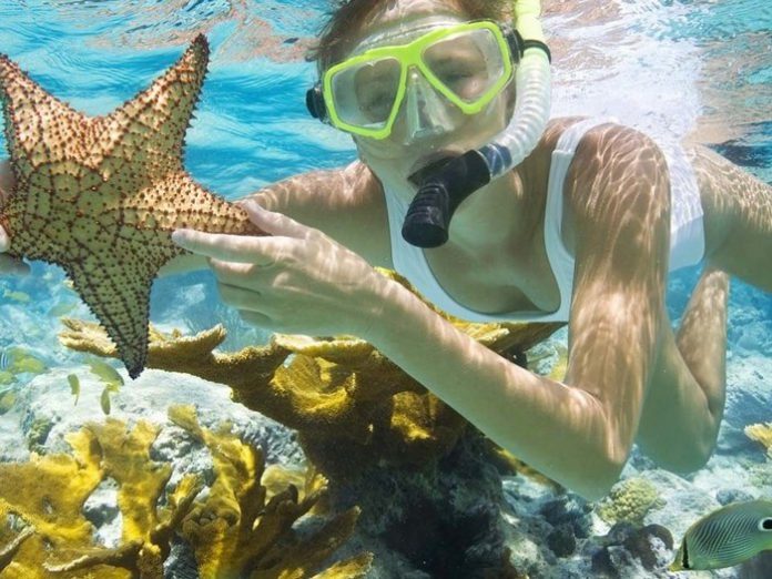 DU LỊCH NHA TRANG CÓ GÌ - lặn biển ngắm san hô ở phú quốc